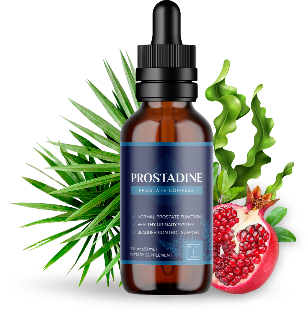 Read more about the article Prostadine Review 2025 – Natural Prostate Support with 60-Day Money Back Guarantee